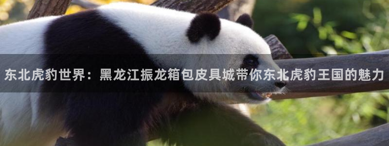辉达娱乐可靠