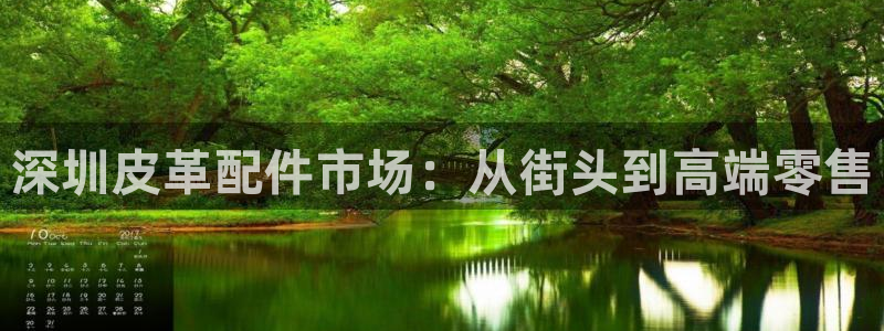 辉达怎么样