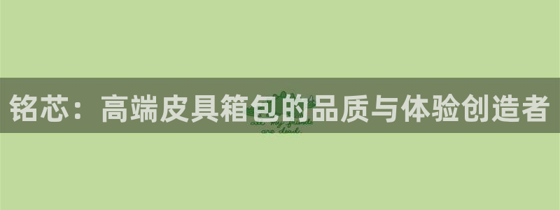 辉达娱乐公司