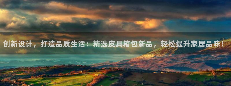 辉达怎么样