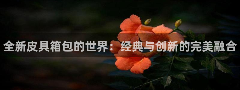 辉达娱乐丶75505