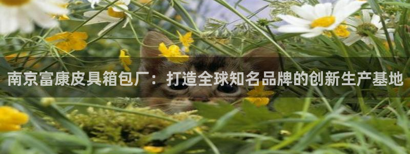 正规辉达娱乐官方网址