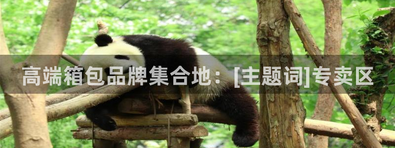 辉达娱乐123123