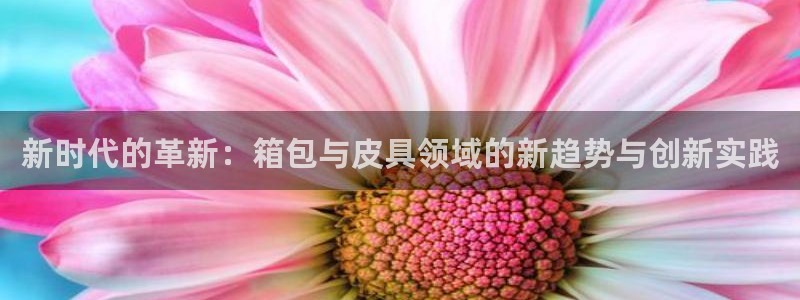 正规辉达娱乐在线游戏