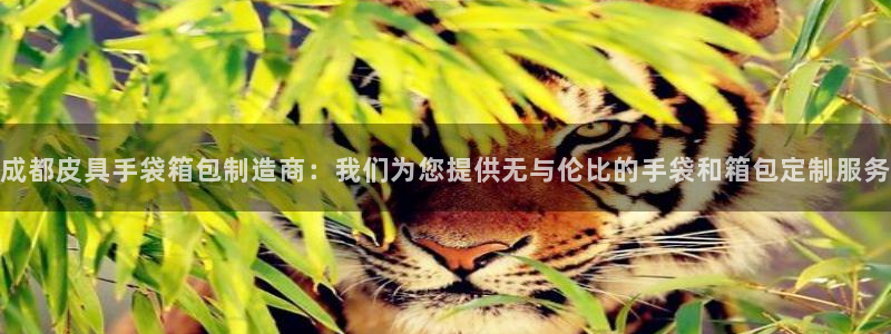 辉达娱乐网址