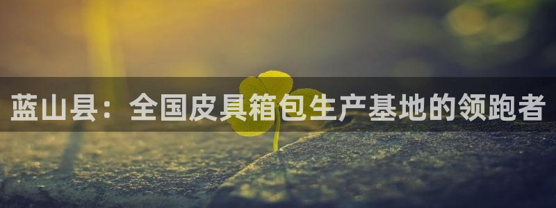 辉达集团官方网站