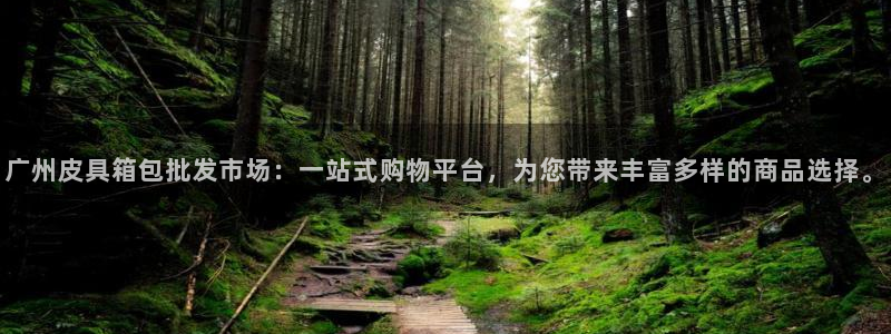 辉达娱乐公司