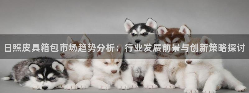 达利娱乐王辉