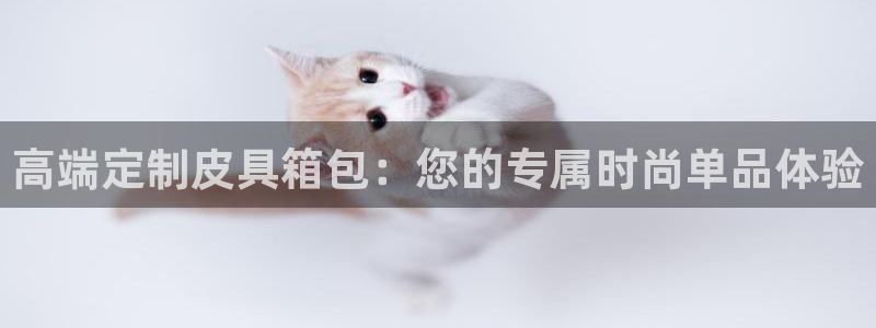 专业辉达娱乐在线游戏
