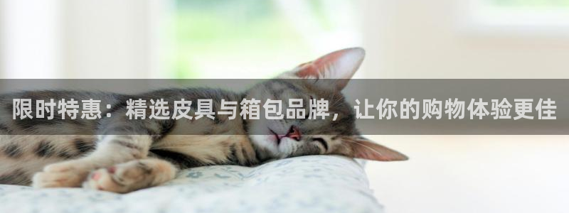 辉达娱乐兼职