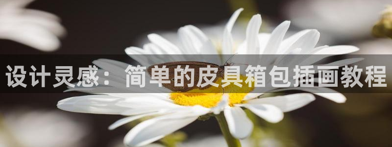 达娱乐辉70667