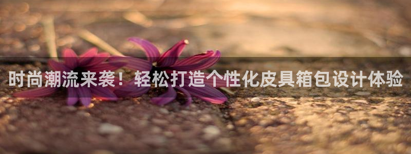 辉达娱乐丶75505