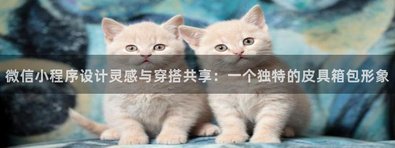 辉达娱乐电子