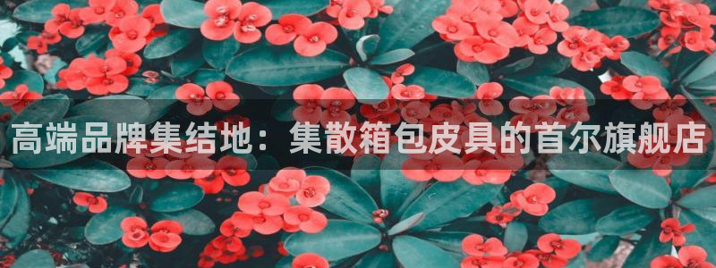 辉达娱乐线路检测