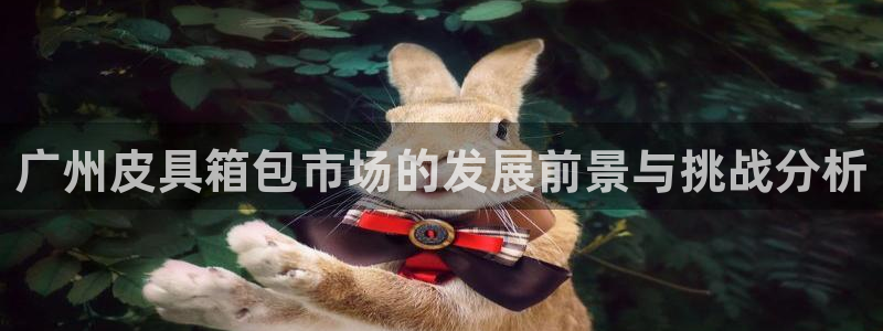 达利娱乐王辉