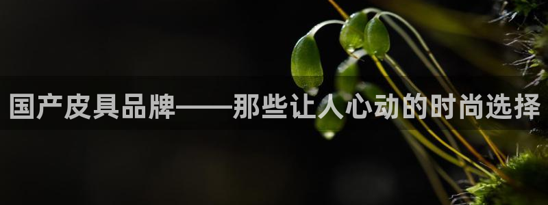 辉达娱乐福彩