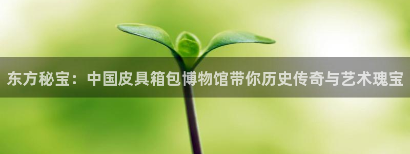 辉达娱乐广东11选5