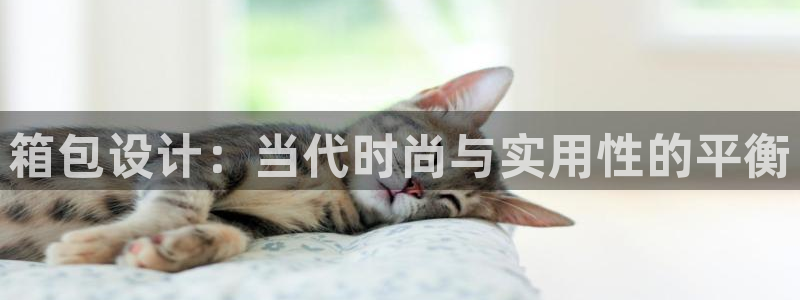 信誉辉达娱乐平台
