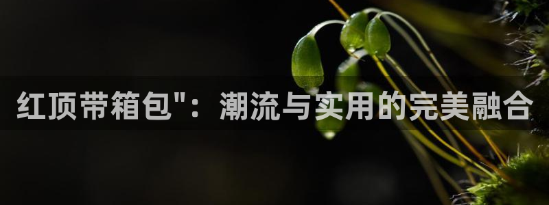 代理辉达娱乐官方网址