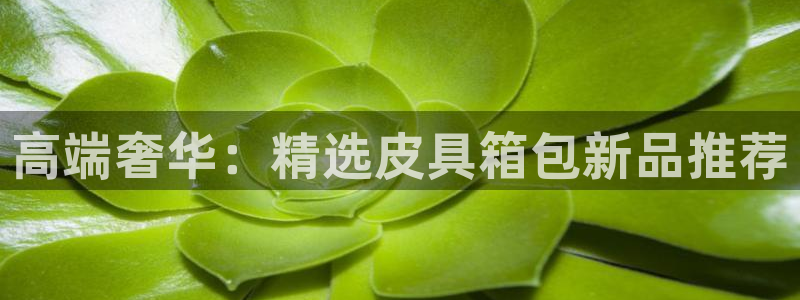 专业辉达娱乐平台