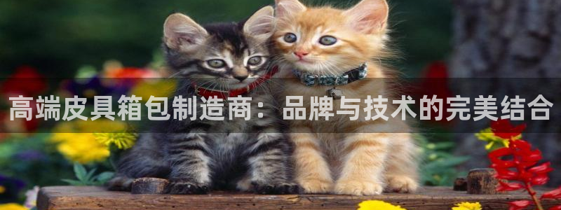 辉达娱乐正规吗