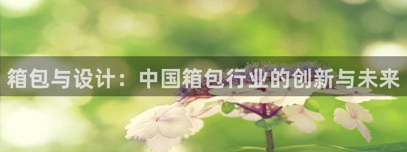 辉达娱乐招商