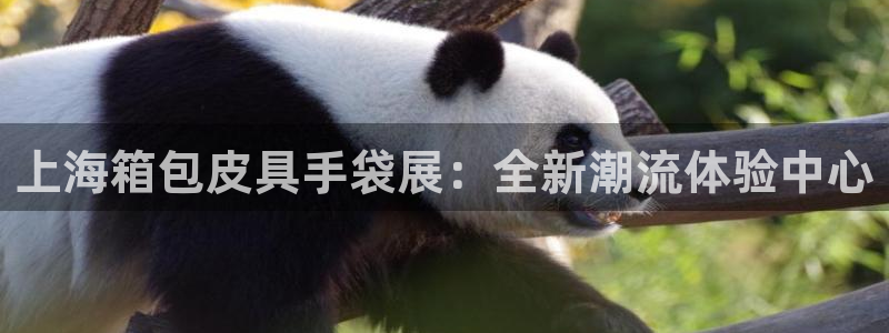 辉达娱乐五39444