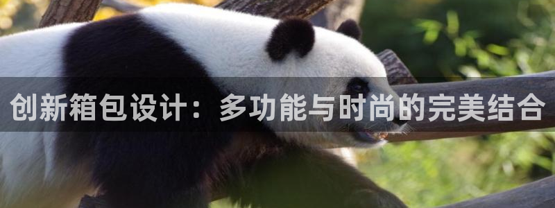 专业辉达娱乐官方网址