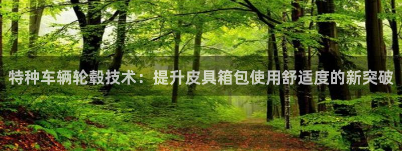 辉达娱乐加q75775