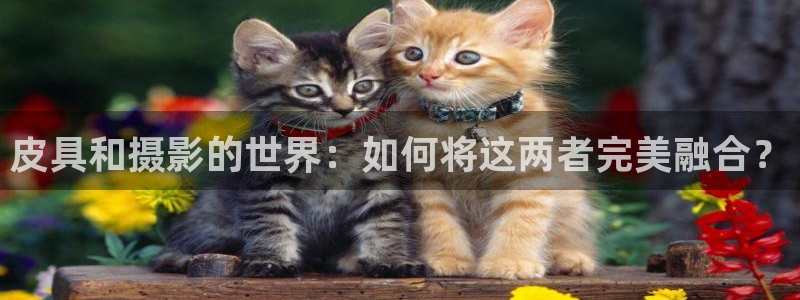 辉达娱乐最新消息新闻