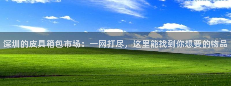 辉达娱乐下载
