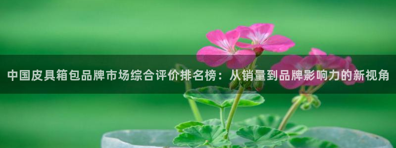 辉达娱乐五39444