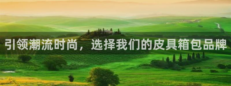 辉达娱乐电子游艺