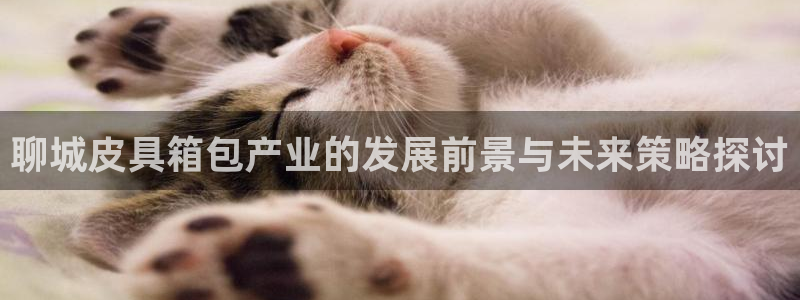 辉达娱乐时时彩