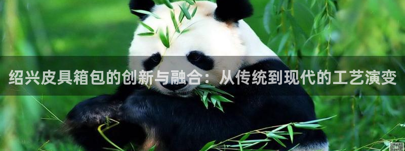 专业辉达娱乐平台