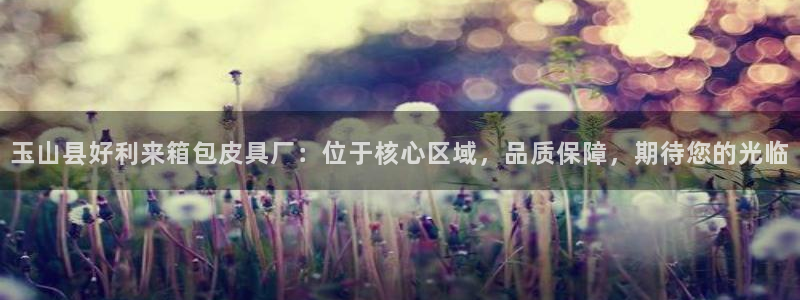 代理辉达娱乐平台