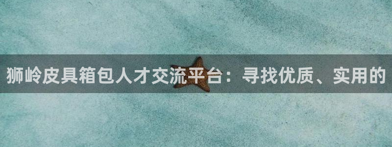 辉达娱乐公司
