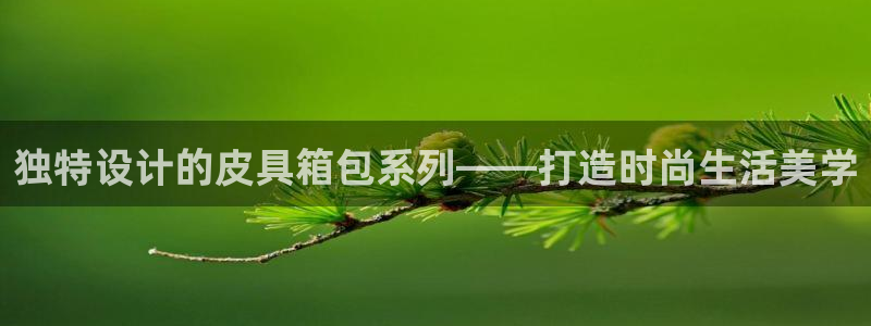 辉达娱乐总部