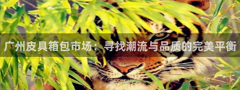 辉达娱乐加扣75775
