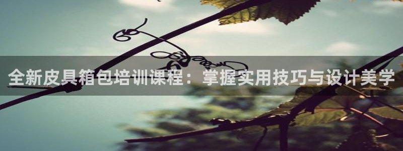 辉达娱乐待遇