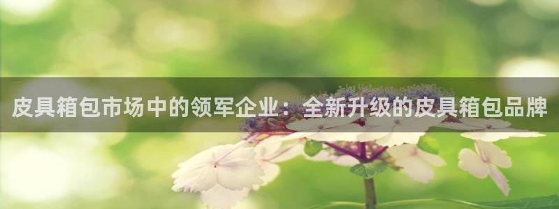 辉达娱乐己39444