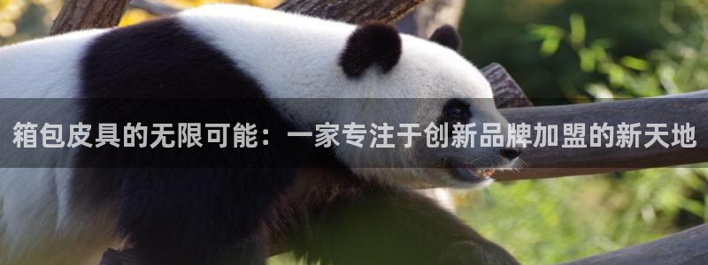 辉达娱乐最新版本更新内容