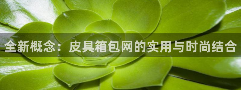 正规辉达娱乐官方网址