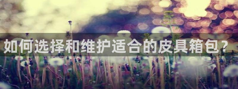 辉达娱乐计划软件