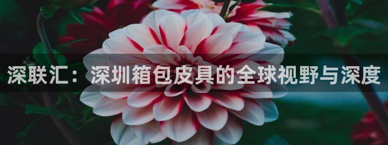 辉达娱乐丶75505