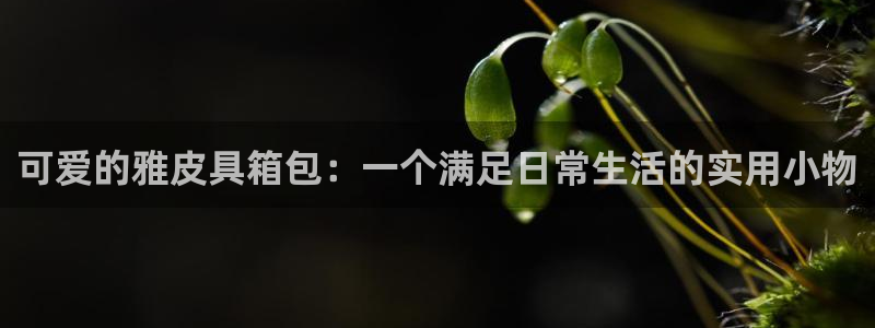 辉达平台娱乐怎么样