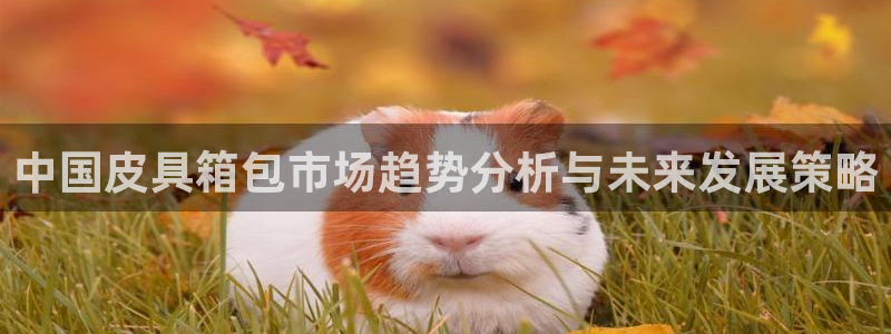 辉达娱乐丿39444