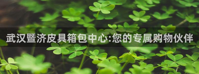 菲律宾辉达娱乐