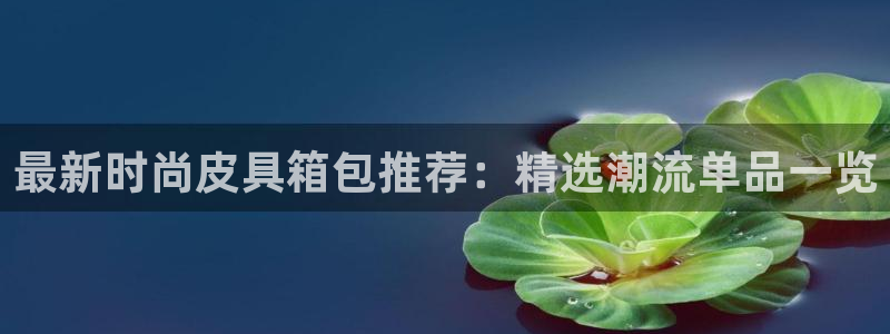 辉达娱乐招商