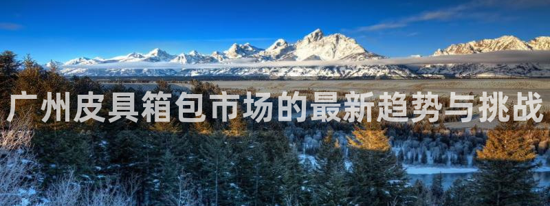 辉达娱乐加q75775稳定